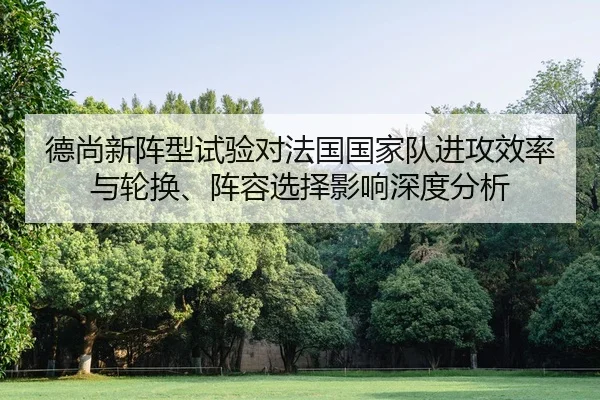 de-shang-xin-zhen-xing-shi-yan-dui-fa-guo-guo-jia-dui-jin-gong-xiao-lv-yu-lun-huan-zhen-rong-xuan-ze-ying-xiang-shen-du-2-508.jpg
